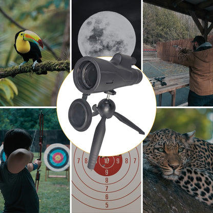 Wide 5.4° Field of View Captured Through Lenses