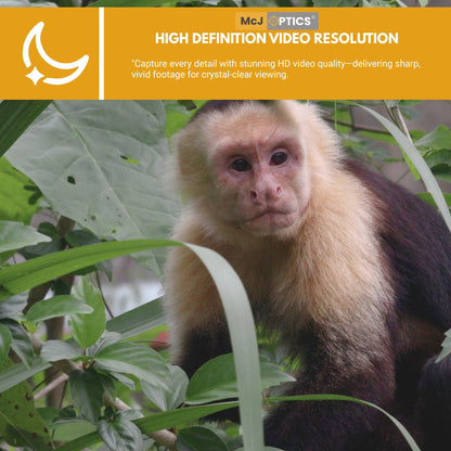 Wildlife Footage with 110MP Sample Image